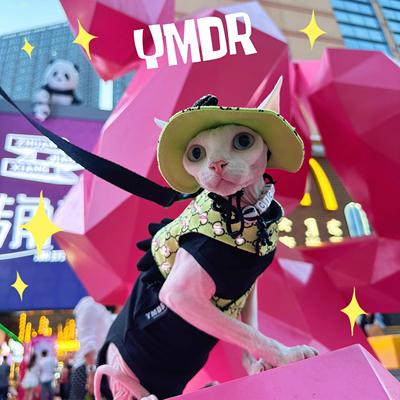 YMDR德文帽子德文胸背无毛猫衣服