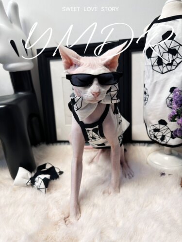 YMDR德文衣服德文帽子夏季福利