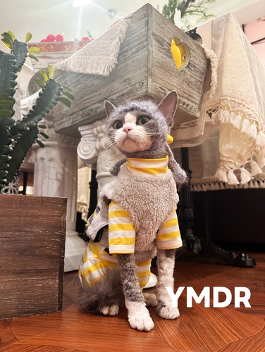 YMDR纯棉条纹打底星星帽网红街拍