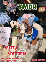 YMDR原创德文衣服冬款加厚奥粒绒四脚衣小怪兽圣诞风网红可爱套装