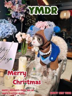 YMDR原创德文衣服冬款 加厚奥粒绒四脚衣小怪兽圣诞风网红可爱套装