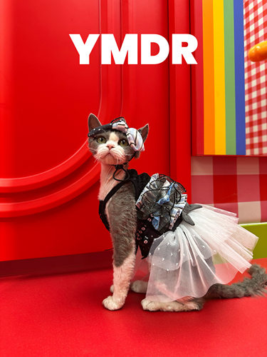 YMDR德文衣服洛可可风格腰带围巾