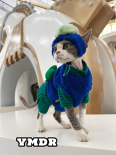 YMDR德文猫衣服无毛猫衣服原创可爱澳绒条纹自发热高领打底半马甲