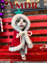 YMDR原创圣诞限定德文衣服德文帽子圣诞节斗篷节日套装可爱帽子