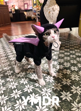 YMDR德文猫恶魔装扮套装四脚打底