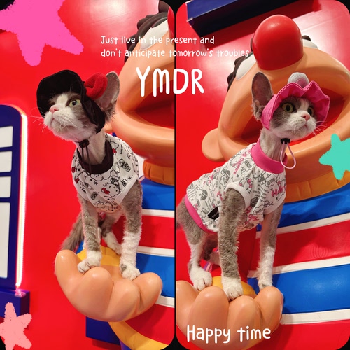 YMDR夏款遮阳帽可爱卡通情侣套装