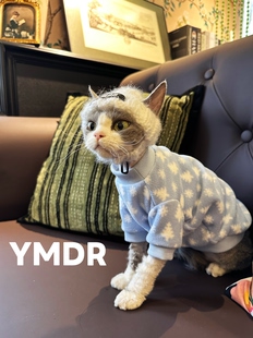 YMDR原创德文衣服秋冬款蓝白松树自发热轻便摇粒绒T恤潮酷冷帽