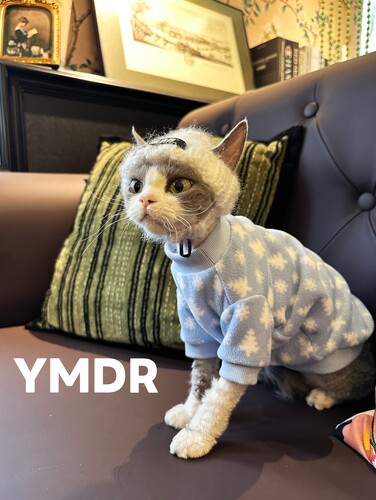 YMDR德文猫松树摇粒绒卫衣冷帽
