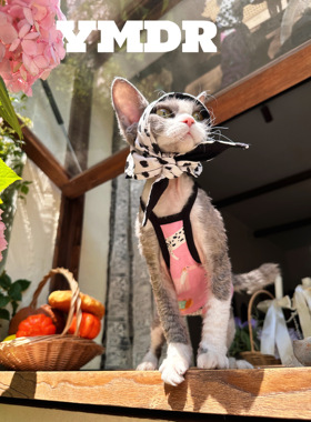 YMDR德文衣服德文帽子夏款网红街拍赛博风纯棉夏凉吊带斑点露耳帽