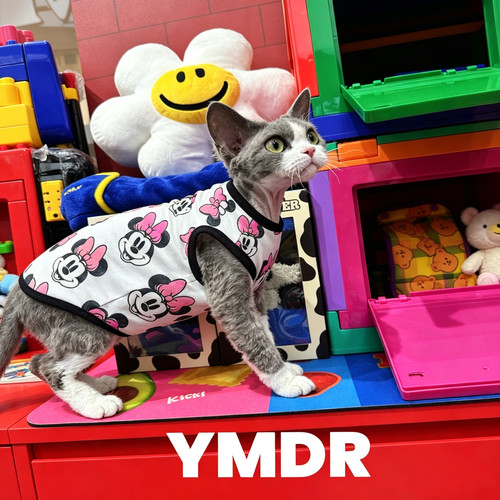 YMDR夏款纯棉纯棉打底米妮居家服