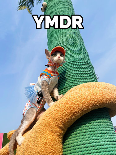 YMDR德文帽子牵引胸背夏季衣服
