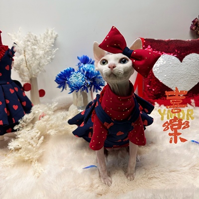 德文衣服裙子YMDR新年款无毛衣服