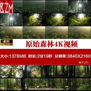 原始森林4K野生植物大自然航拍高清实拍视屏影视视频素材资源