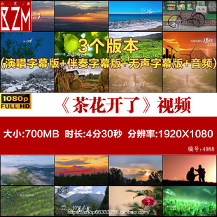 茶花开了 王睿卓伴奏mp3高清背景带字幕MP4大屏幕LED背景视频素材
