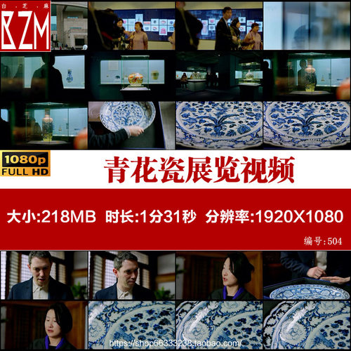 上海博物馆瓷器展厅青花瓷展览讲解员向外国记者做介绍视频素材