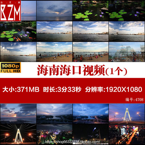 d528海南海口城市地标景点夜景延时摄影高清实拍视频素材