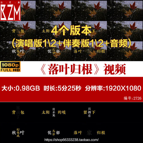 落叶归根 Live双人版动态歌词排版歌曲MV伴奏舞台LED背景视频素材