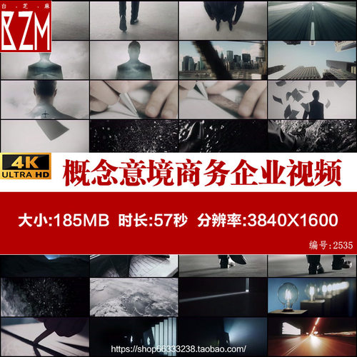 大气震撼概念意境商务企业双重曝光勇往直前奋斗向上短片视频一支