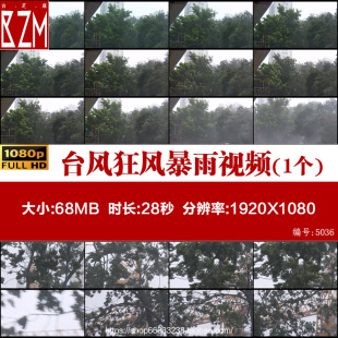 台风狂风暴雨危险破坏灾难大风大雨高清实拍视频素材