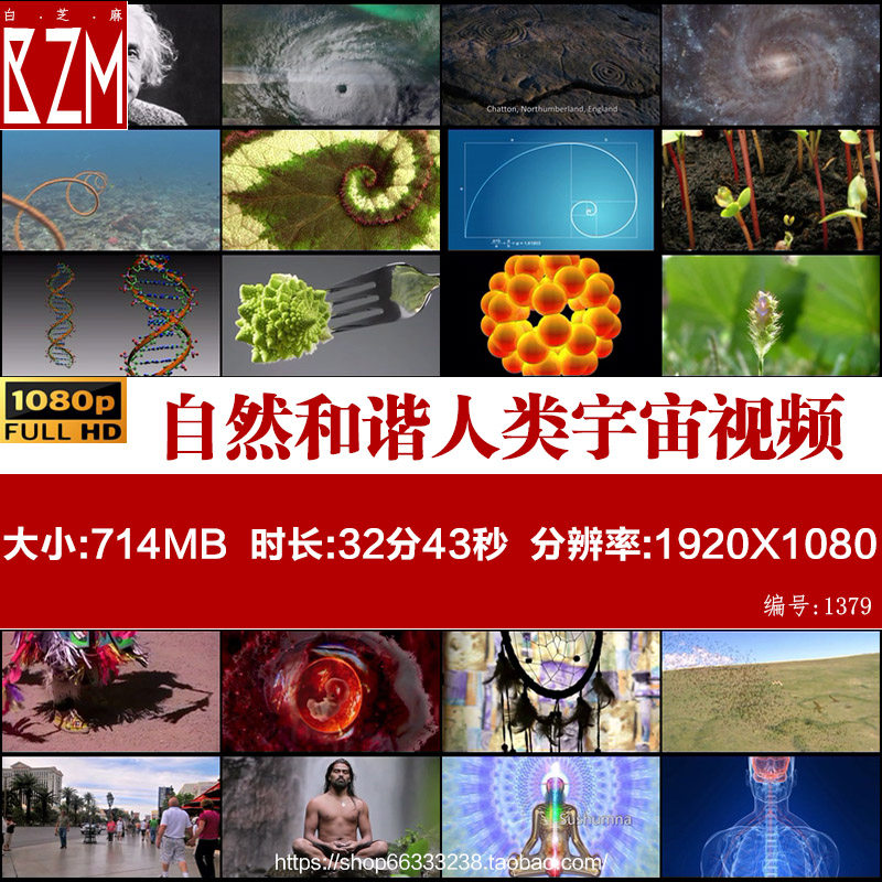 I004自然和谐人类宇宙星空修身养性天人合一太极思想信仰视频素材 - 实物图