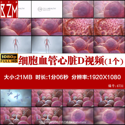I026细胞血管心脏DNA染色体医疗高科技人体组织高清动画视频素材