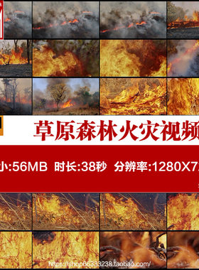 草原森林火灾视频护林防火119消防日安全宣传演讲视频素材