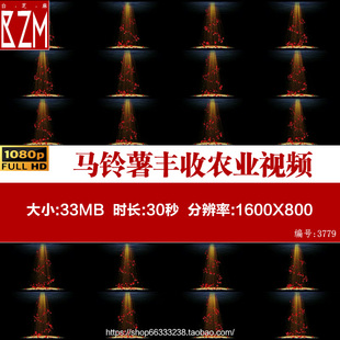 唯美全息玫瑰花瓣 新娘新郎出场 婚礼LED大屏幕舞台背景 视频素材