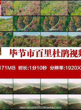 航拍贵州毕节市百里杜鹃游客赏花自然花园高清实拍视频素材