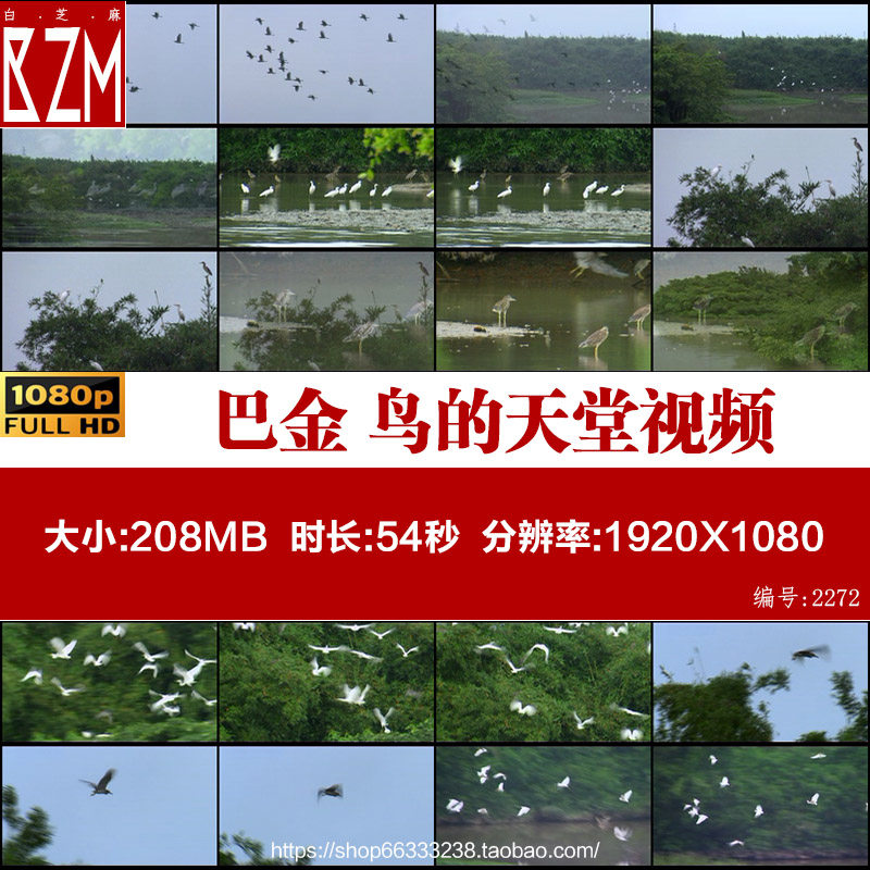 广东江门 古榕树独木林 泥墩变绿岛 巴金 鸟的天堂 高清视频素材,商务/设计服务,设计素材/源文件,淘宝优惠券,粉丝福利购,淘宝优惠卷