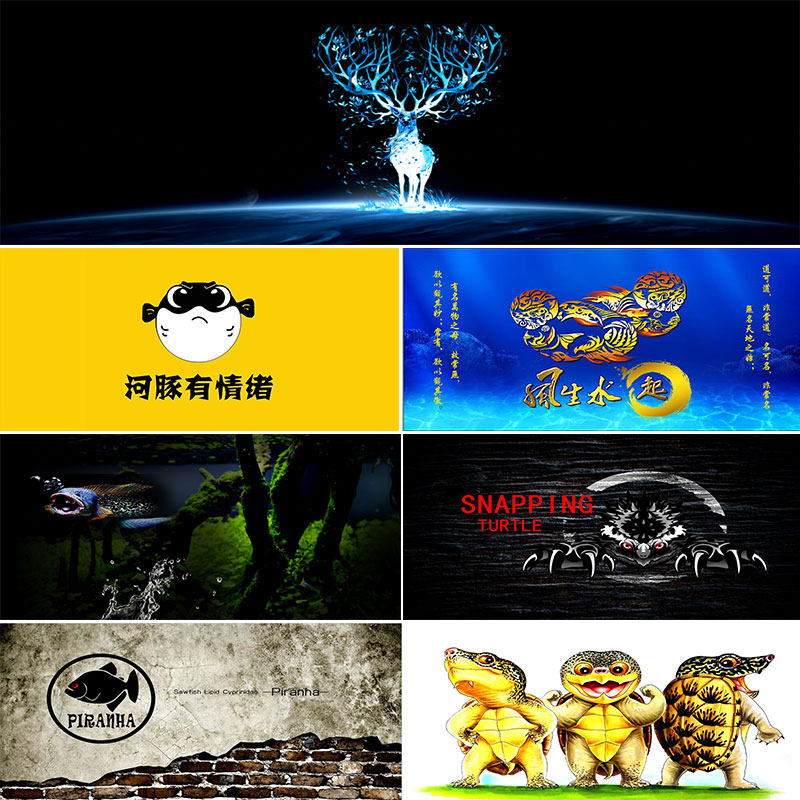 鱼缸背景贴纸画3d立体高清图食人鱼金鱼雷龙鱼缸背景画水族箱造景