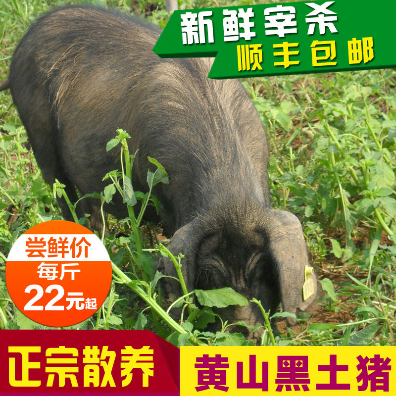 原生态农家新鲜土猪肉散养黑毛猪其它猪肉类