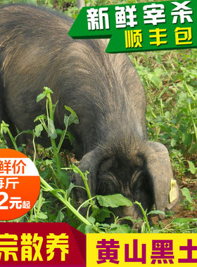 原生态农家新鲜土猪肉散养黑毛猪肝猪心猪腰专拍链接