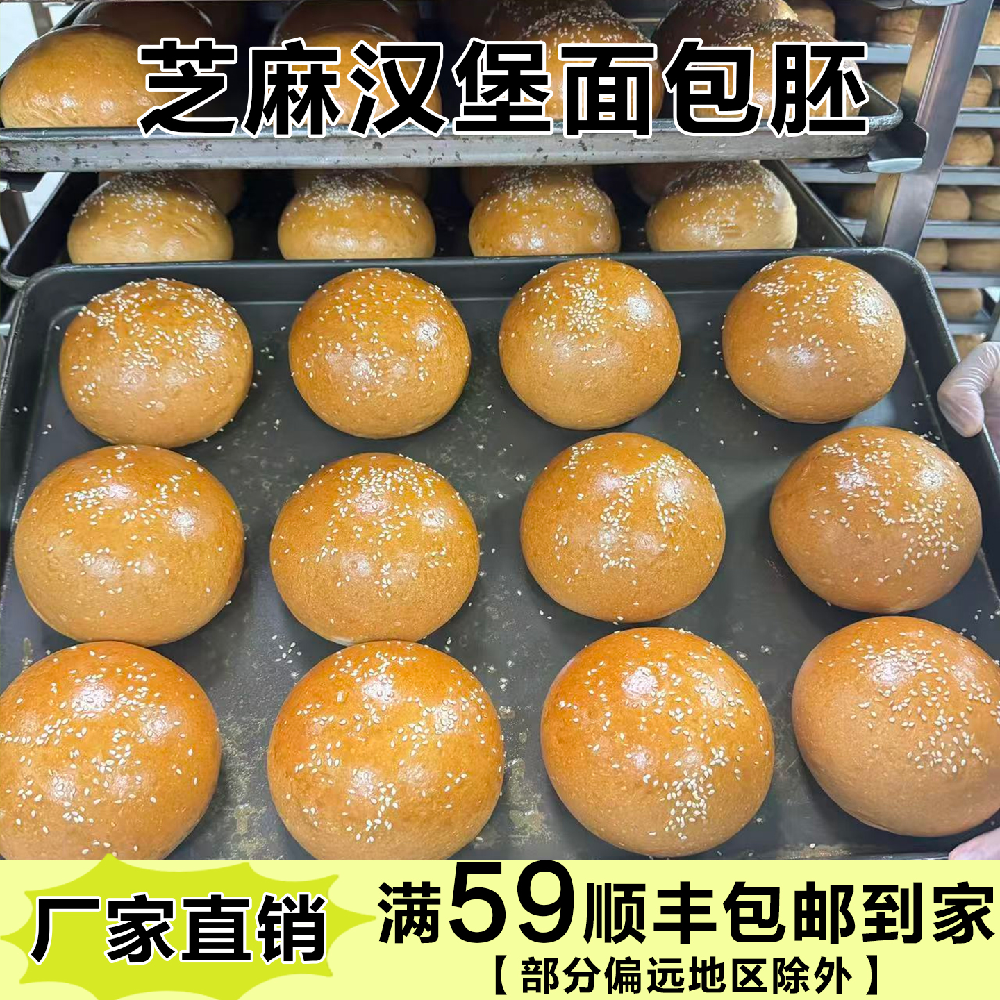 汉堡包面包胚美式商用早餐汉堡