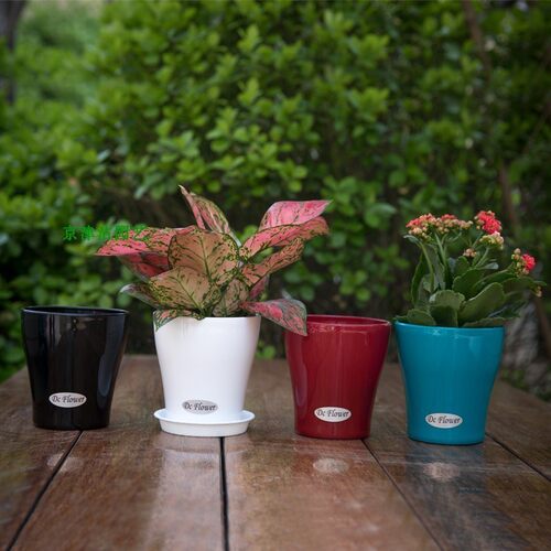 室内阳台树脂花盆发财树包邮