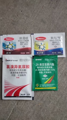 白粉病农药组合氯溴异氰尿酸+泰生落芬套装+芸苔素正品