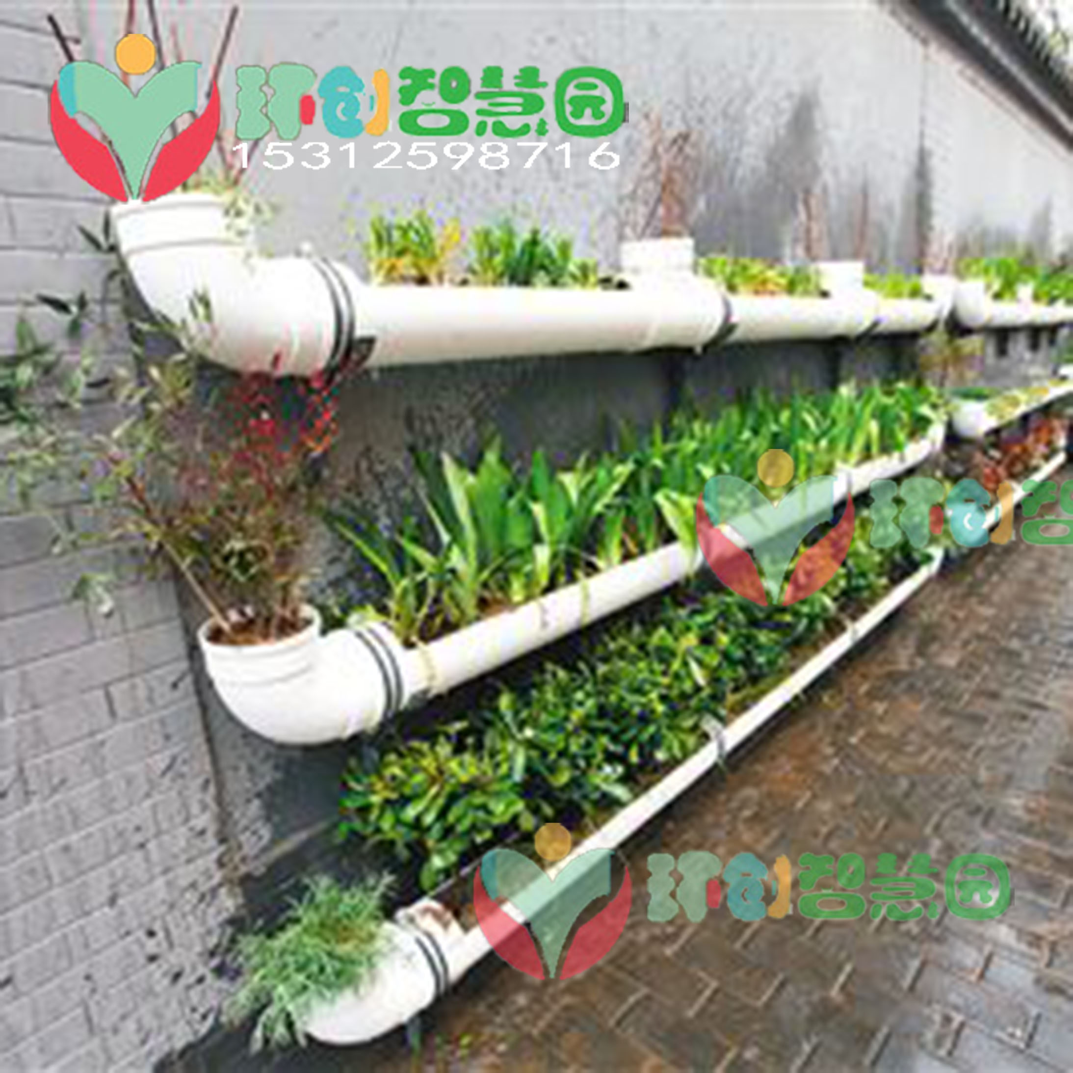 pvc管创意幼儿园水培养鱼植物角