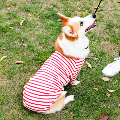 柯基衣服薄款狗狗夏季透气柴犬