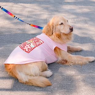 金毛背心拉布拉多夏天防掉毛中型犬大型犬夏装 薄款 大狗狗衣服夏季