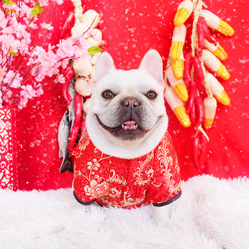 法斗衣服唐装新年秋冬装巴哥法牛斗牛犬中小型犬幼犬小狗狗拜年装
