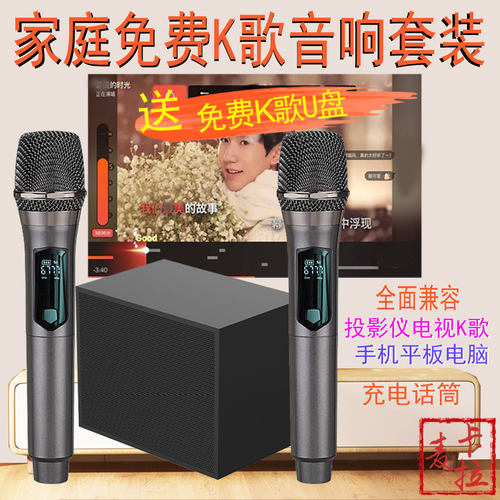 木质音响 数字混响 可充电双麦克 震撼音效