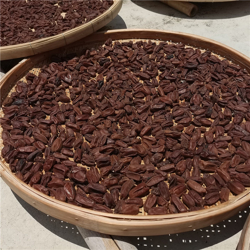 2022年广东云浮郁南特产农家自晒生晒无核黄皮果干 无添加 无残留