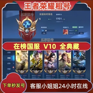 王者荣耀号租在榜国服V10借韩信李白貂蝉猴曜全典藏可排位皮肤账