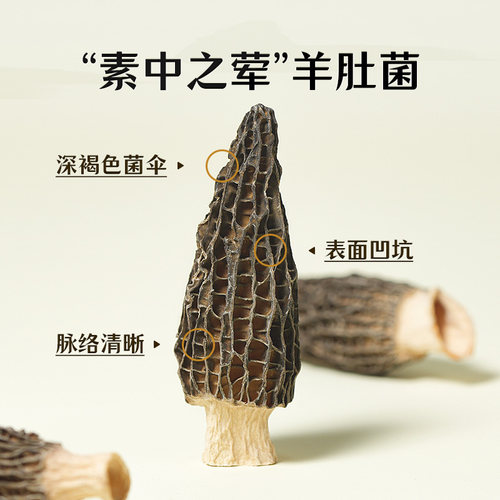 绿帝羊肚菌干货煲汤食材