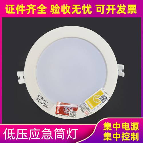 凯雷德领凯A型集中电源集中控制消防应急嵌入式筒灯射灯24V36V