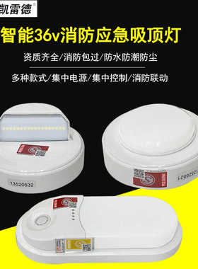 KLD凯雷德领凯集中电源集中控制A型消防应急灯智能应急小吸顶灯