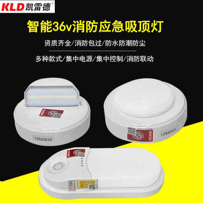 集中电源智能疏散A型36v小吸顶灯