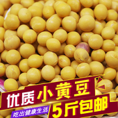 新东北 食用500g 可发豆芽 小黄豆 磨豆浆