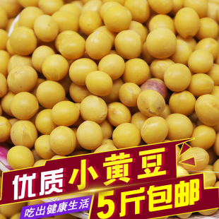 磨豆浆 可发豆芽 小黄豆 新东北 食用500g