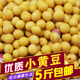 新东北 食用500g 可发豆芽 小黄豆 磨豆浆