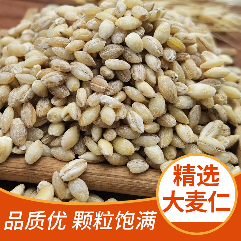 大麦仁500g去皮大麦米煮粥饭图片